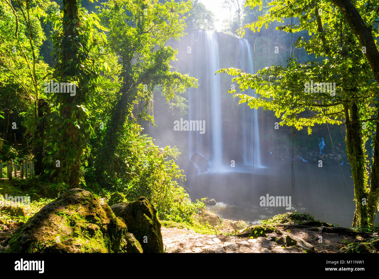 Jungle path to Misol Ha waterfall near Palenque in Chiapas, Mexico Stock Photo