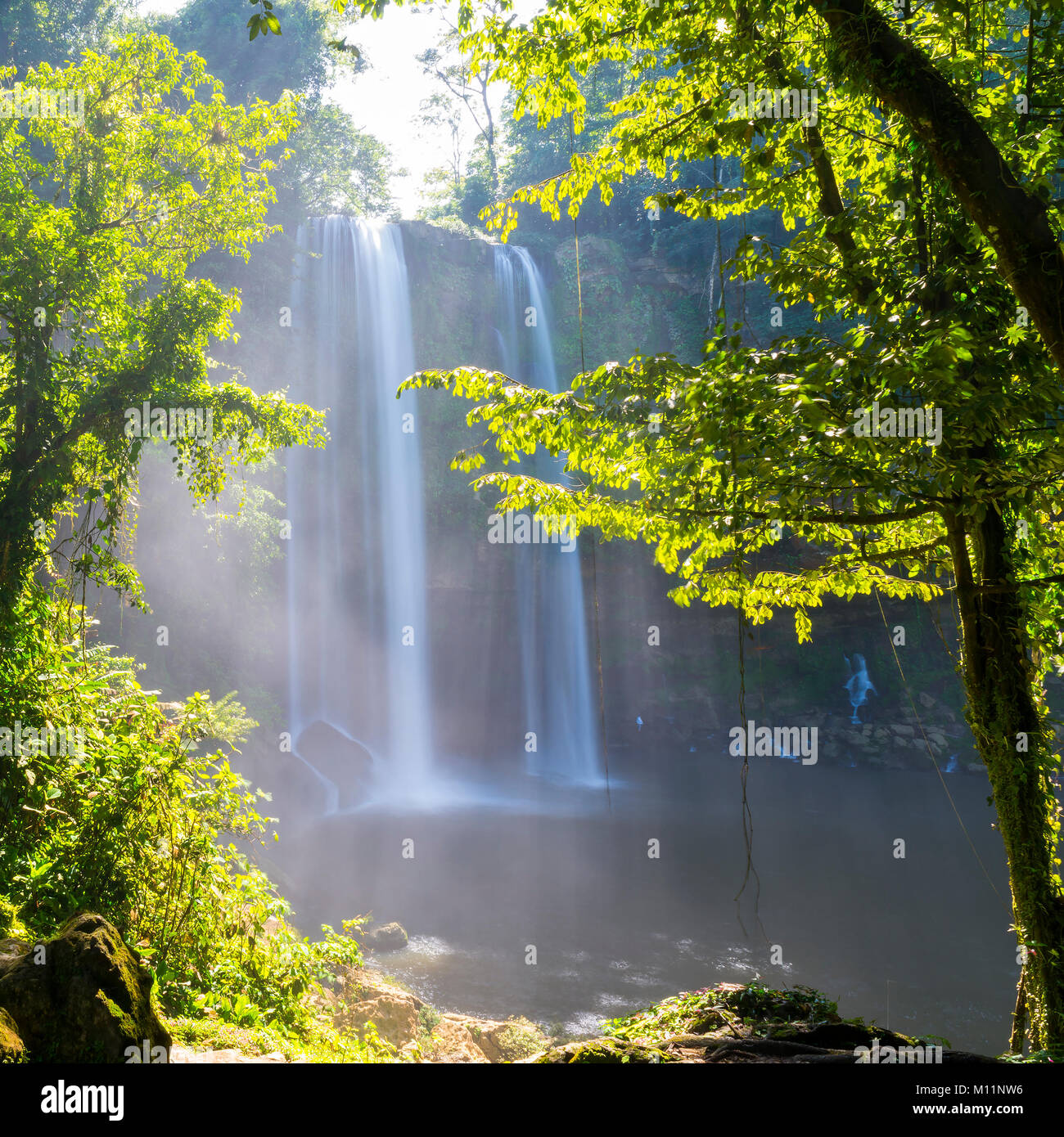Misol Ha waterfall surrounded by jungle near Palenque in Chiapas, Mexico Stock Photo