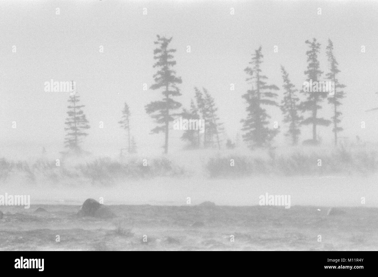 Arctic canada ice desert hires stock photography and images Alamy