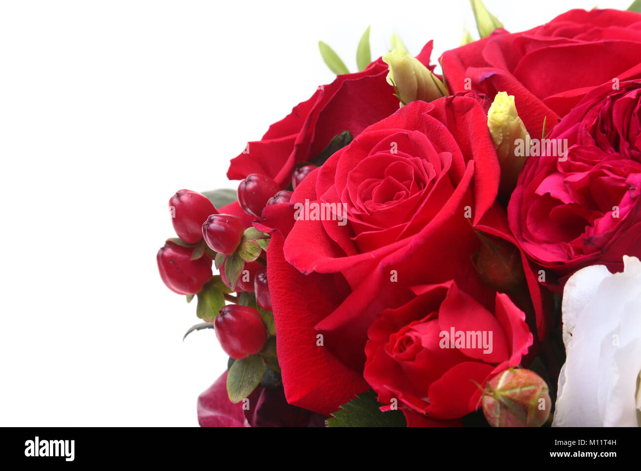 Luxury bouquet made of red and white roses on white background ...