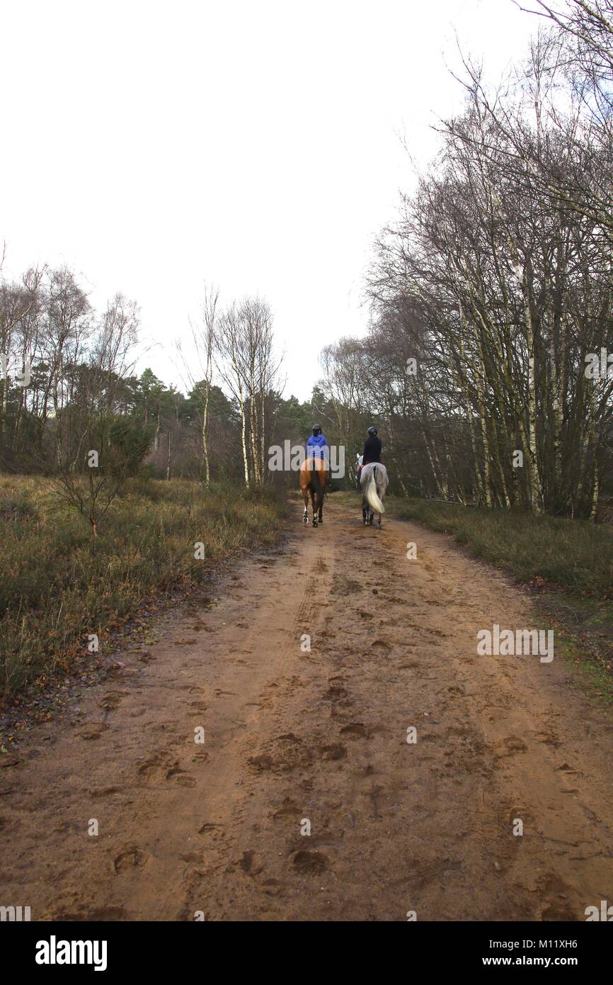 rear view of two young females riding horses along a sandy track over Thursley Common in Surrey, England. Stock Photo