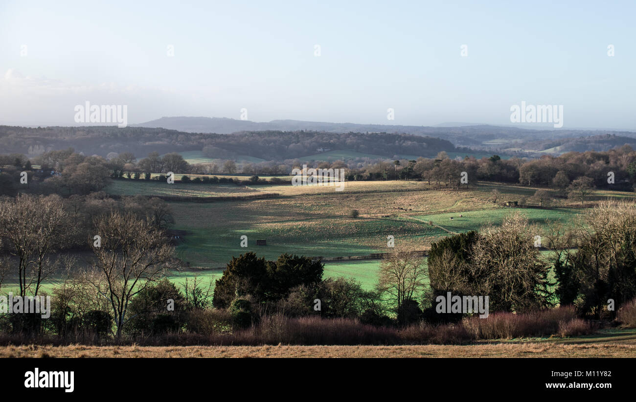 Sunrise at Newlands Corner, Surrey, January 7:50am Stock Photo