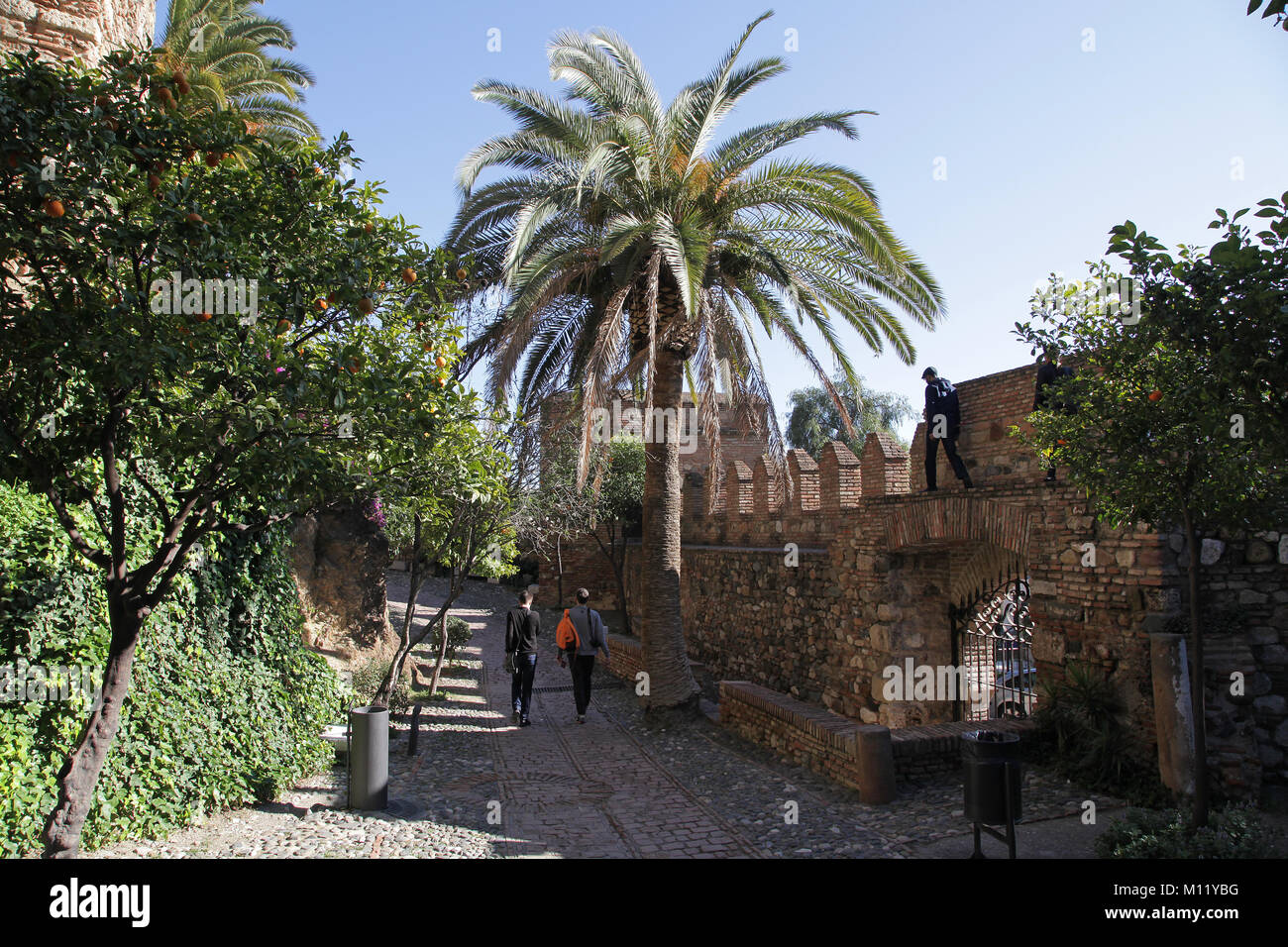 The Alcazaba Málaga, Spain.Built by the Hammudid dynasty in the early 11th century Stock Photo