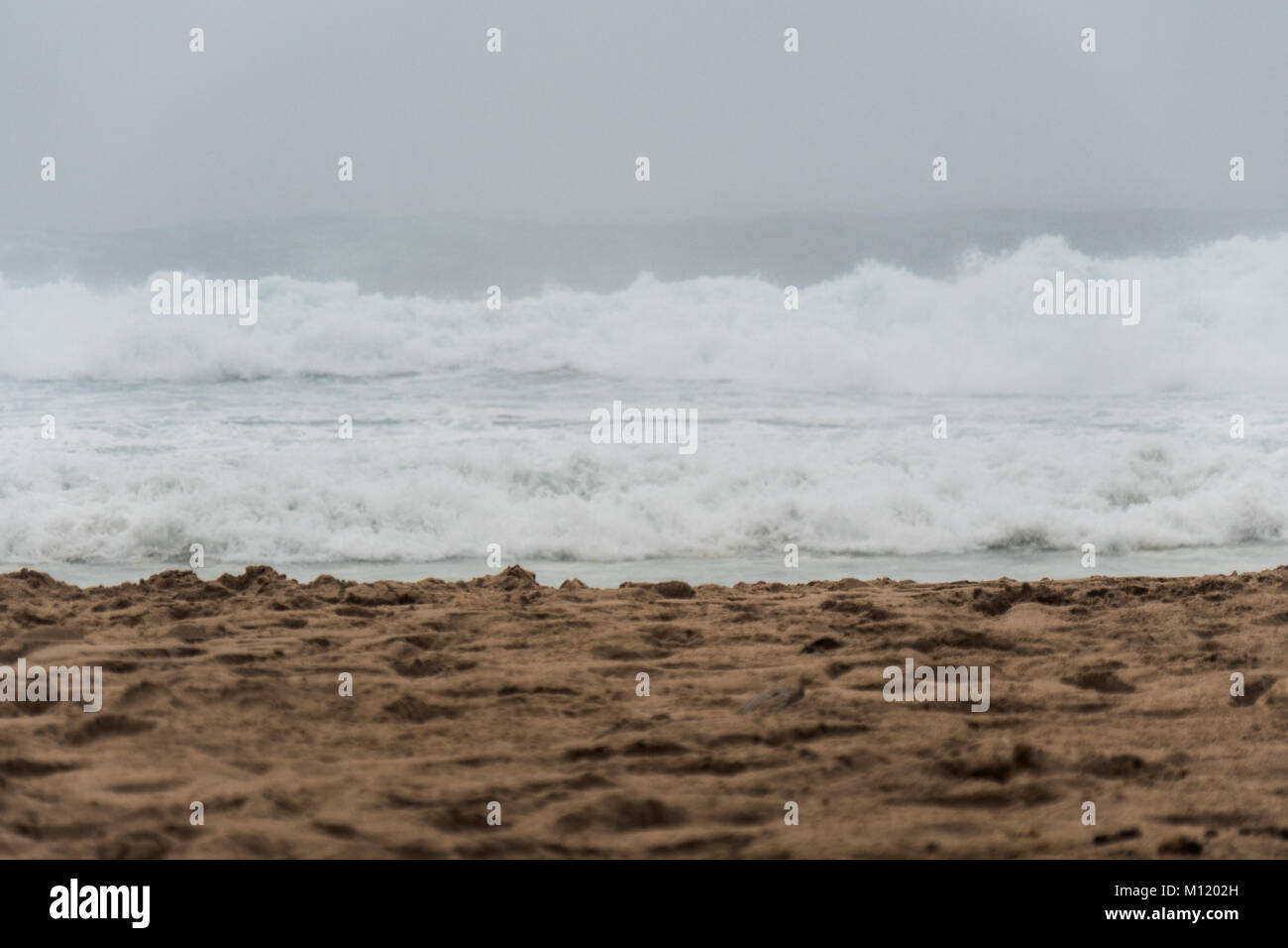 Misty weather at the beach Stock Photo Alamy