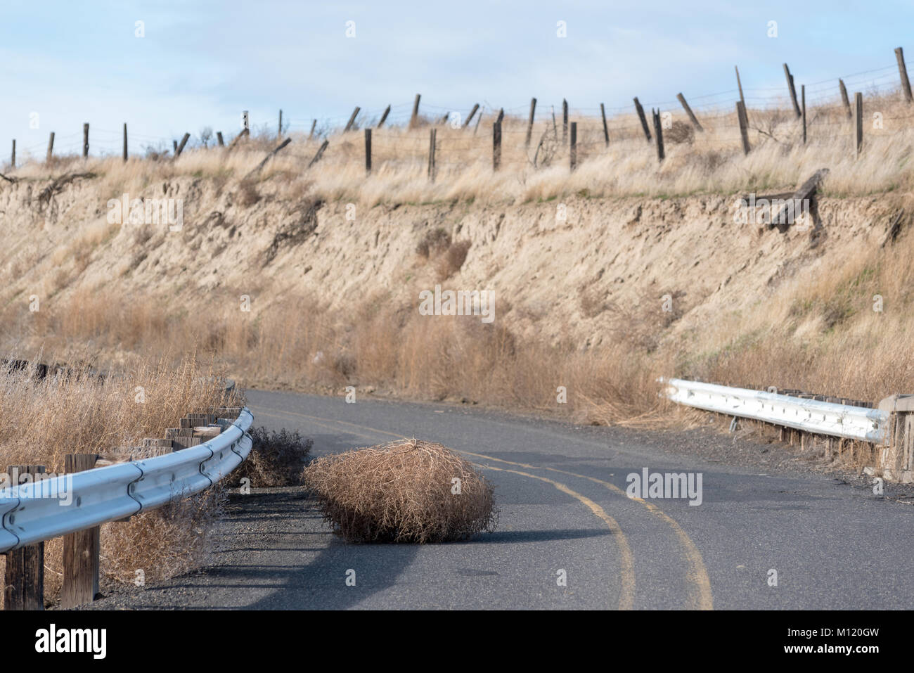 Tumbleweed hires stock photography and images Alamy