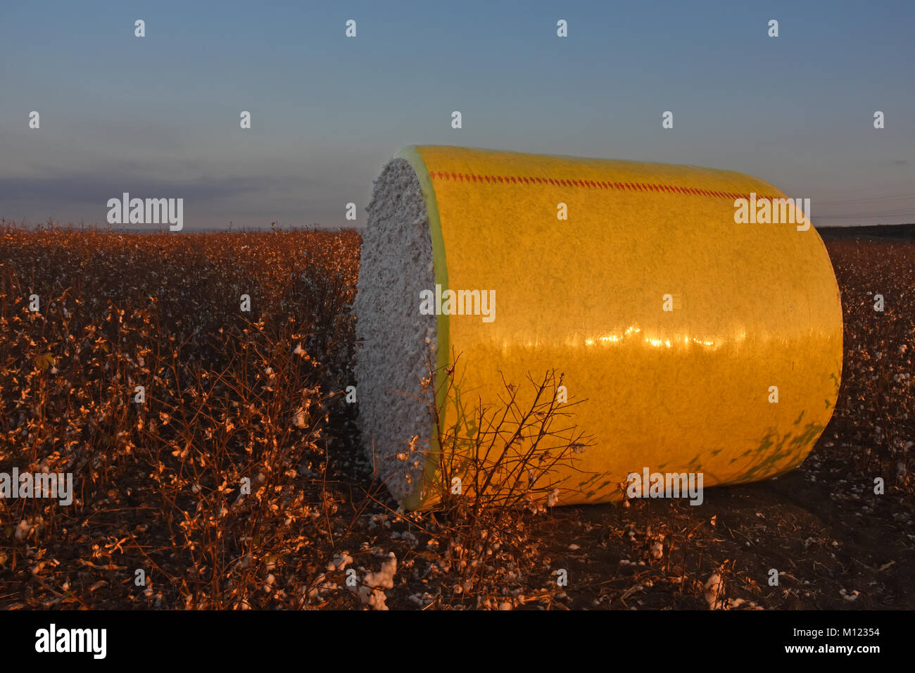 Cotton bale hires stock photography and images Alamy