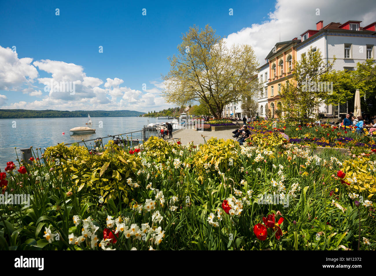 Seaside promenade with flowerbeds,Überlingen,Lake Constance,Baden-Württemberg,Germany Stock Photo