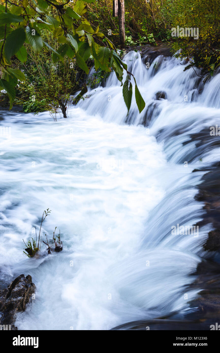 Running Stream Views A white running stream in the forest of colorful autumn leaves trees in ...