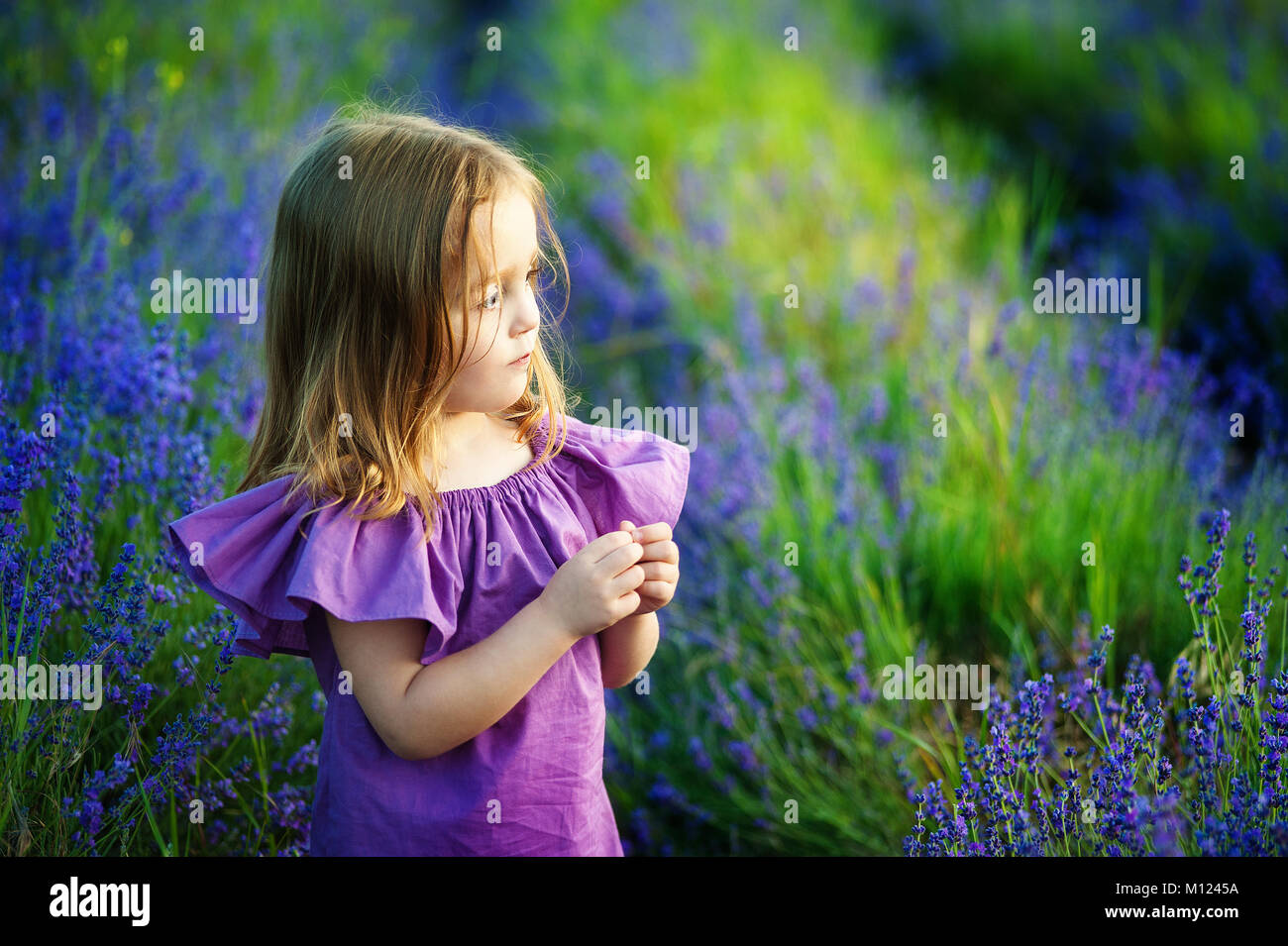 Children Playing In Lavender Field High Resolution Stock Photography ...