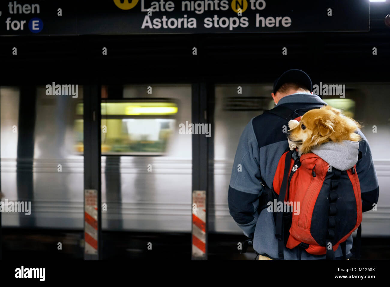 Man carrying dog train hires stock photography and images Alamy