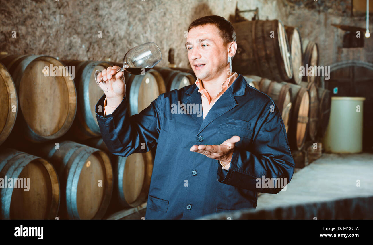 Professional taster posing with glass of wine in winery cellar Stock ...