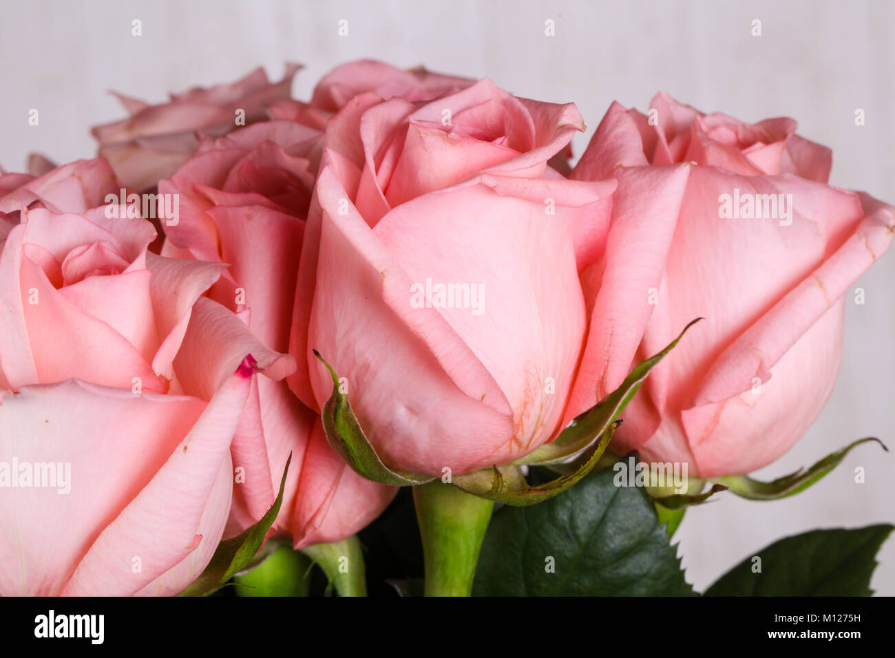 Pink roses bouquet isolated on white background Stock Photo - Alamy