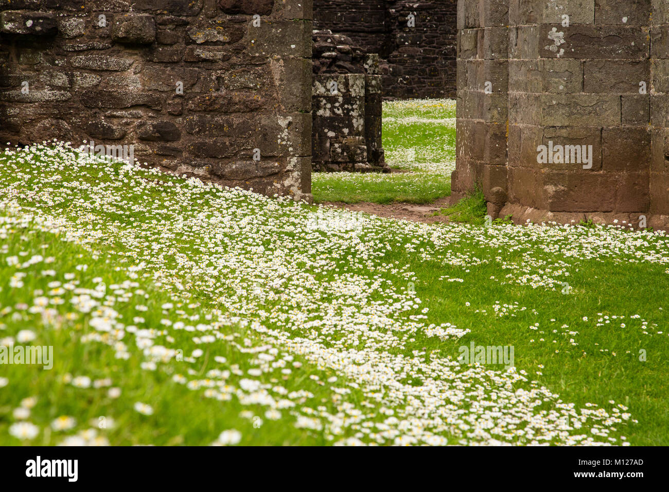 The ruins of Llanthony Priory, Brecon Beacons, Wales Stock Photo