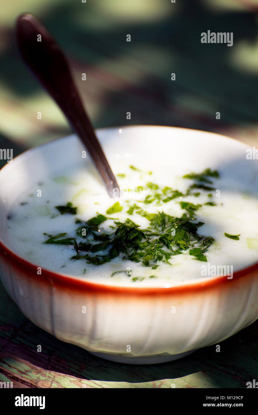 cold bulgarian yoghurt soup with parsley closeup food background Stock