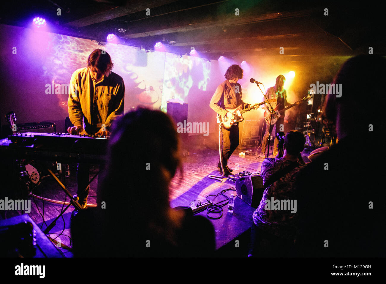 The psychedelic rock band The Revival performs a live concert at Copenhagen Psych 2016. Denmark, 13/07 2016 Stock Photo - Alamy
