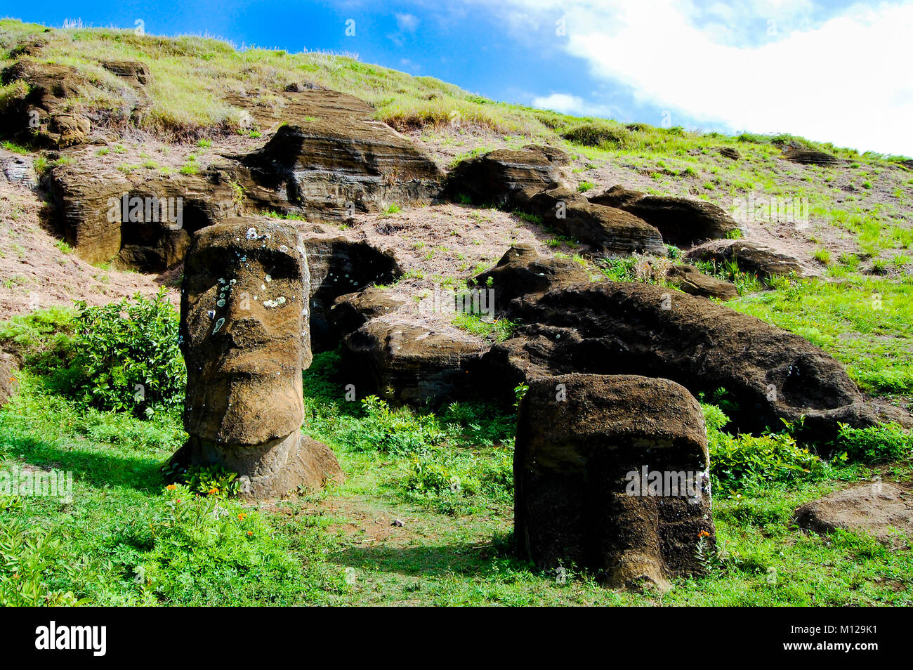 Rano Raraku Reeds Rano Raraku Moais - Easter Island Stock Photo - Alamy
