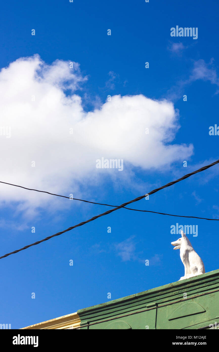 Statue of a dog placed on a brazilian house's roof in blue sky background. Stock Photo