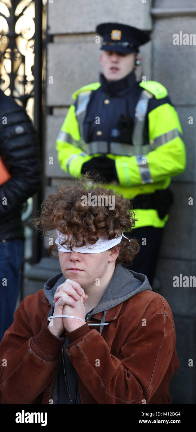 Members of the Ireland Palestine Solidarity Campaign and members of the Houses of the Oireachtas take part in a protest outside Leinster House in Dublin, calling for the release of 16-year-old Ahed Tamimi from prison in Israel. Stock Photo