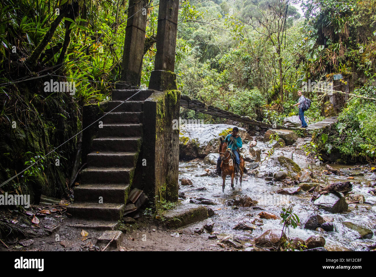 Valle de Cocora hiking trail, near Salento, Colombia, South America Stock Photo