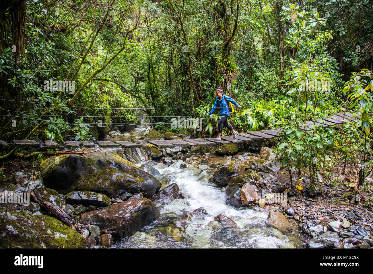 Valle de Cocora hiking trail, near Salento, Colombia, South America Stock Photo