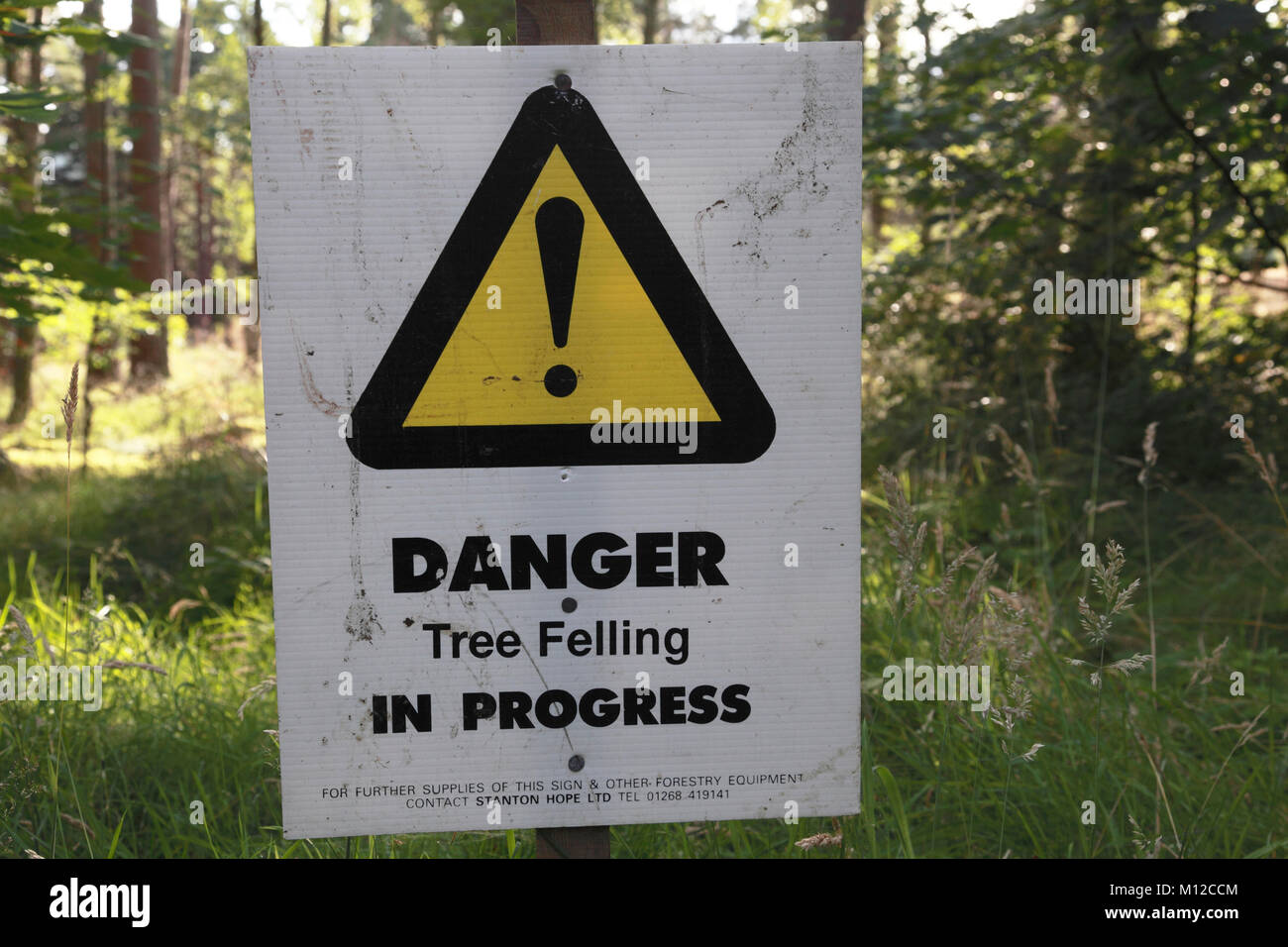 Sign indicating Danger because tree felling is in progress in Aberdeenshire, Scotland Stock Photo