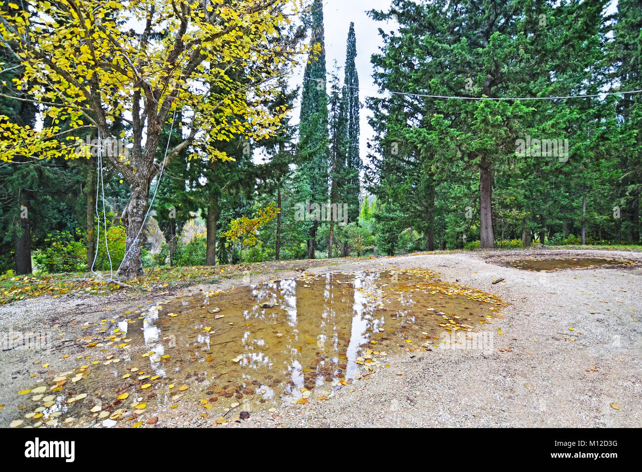 the garden of Tatoi Palace - the place where stayed the former greek Royal family Stock Photo