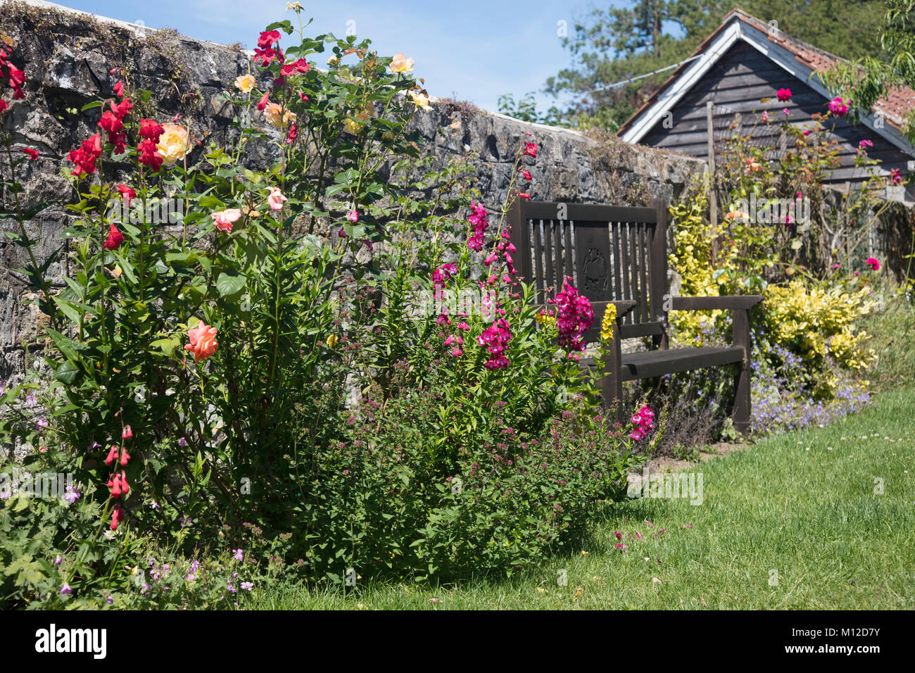 Pretty summer flowers in an English country garden Stock Photo - Alamy