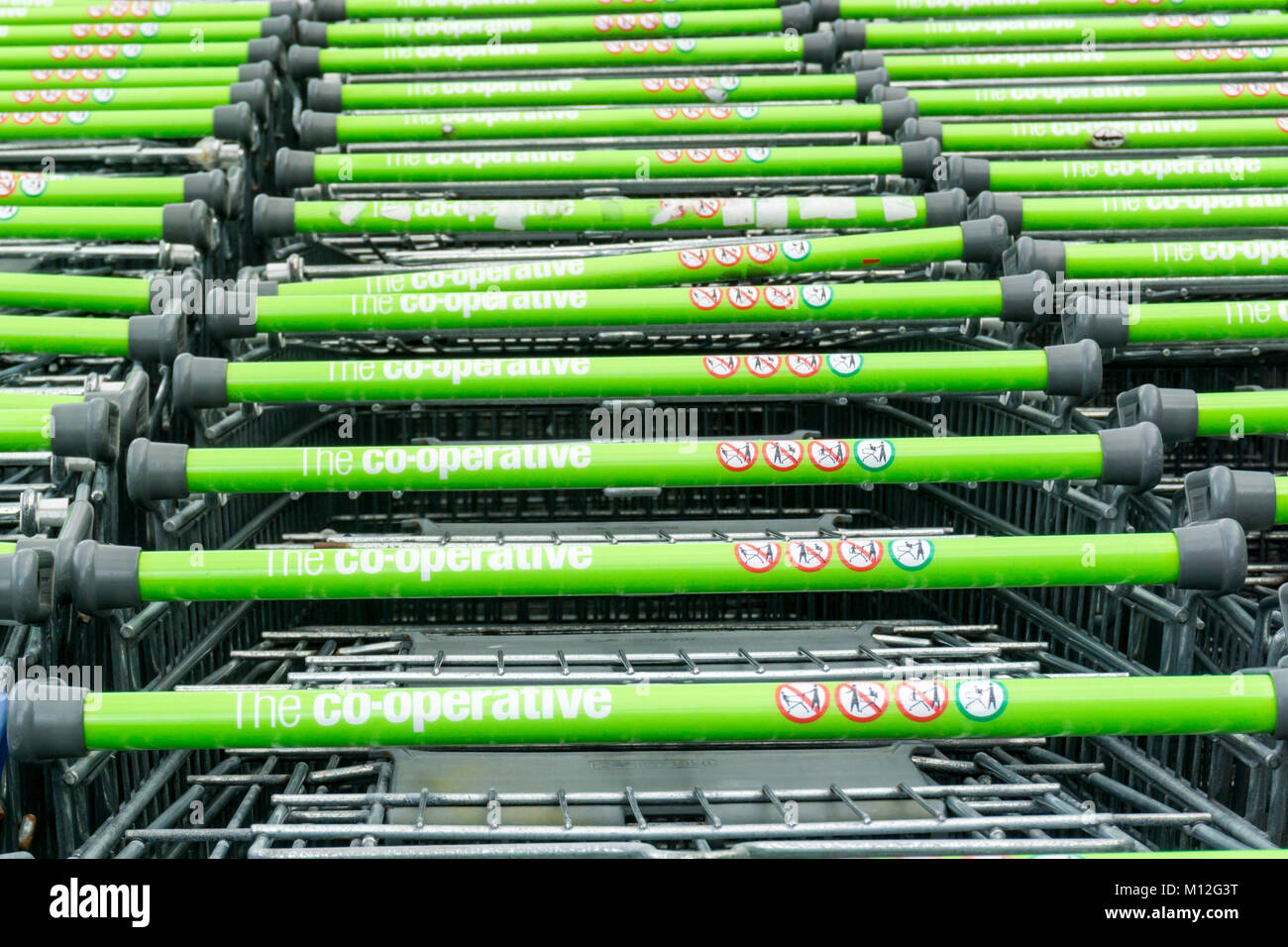 A row of Co-operative supermarket trollies. Stock Photo