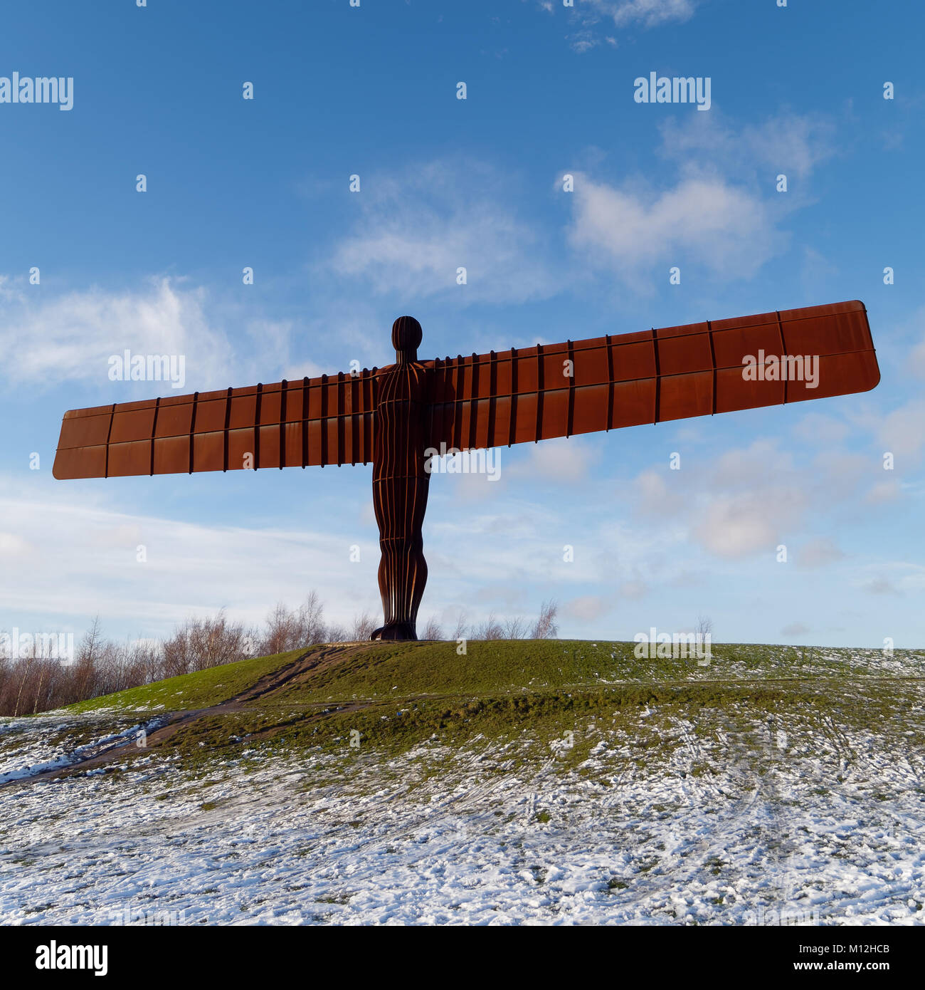 GATESHEAD, TYNE AND WEAR/UK JANUARY 19 View of the Angel of the