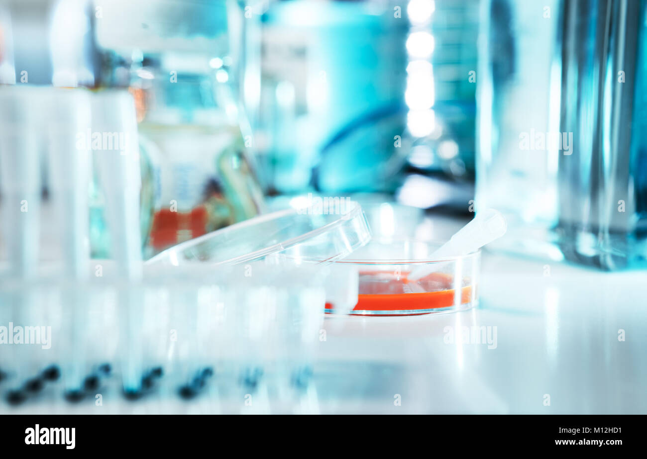 Cell culture sample in sterile hood Stock Photo Alamy