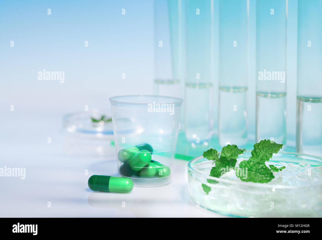 Peppermint capsules, research and development from fresh mint Stock