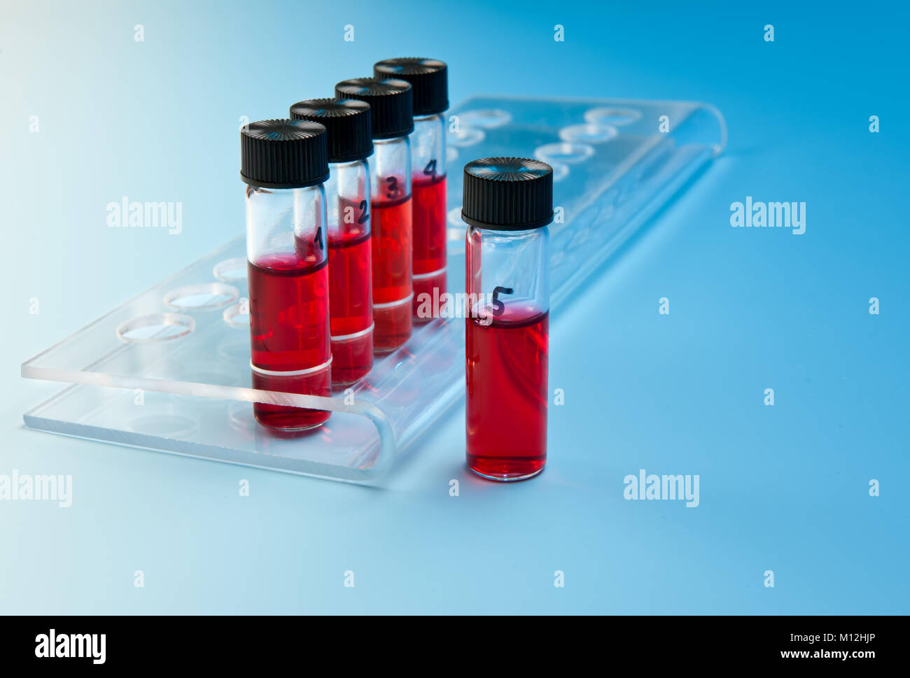 Red liquid samples in a transparent plastic tray on blue gradient background Stock Photo