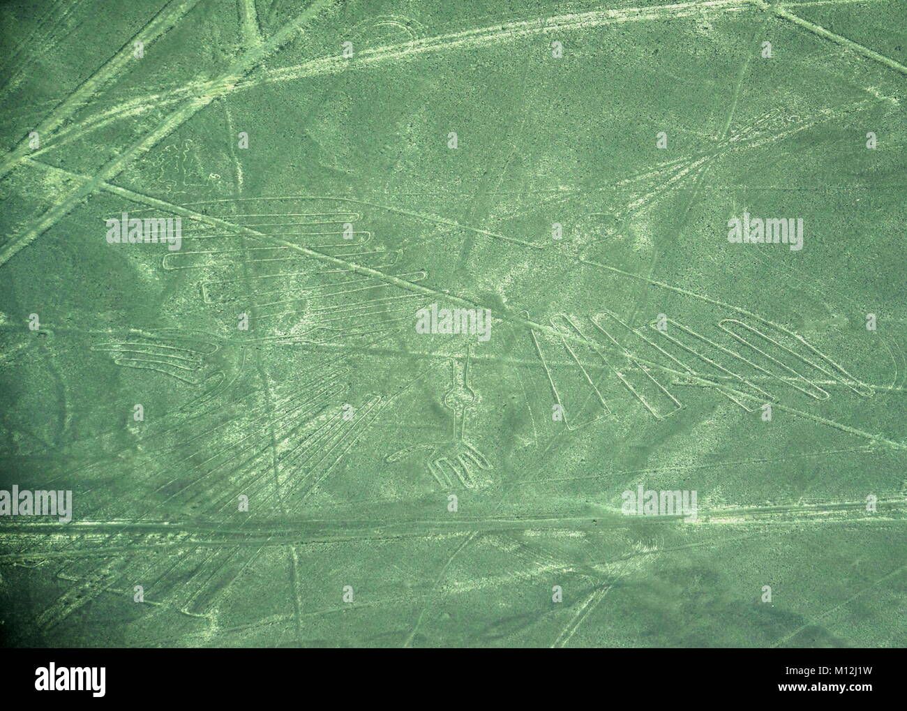 The Nazca Lines in Peru, here you can see the Condor Stock Photo
