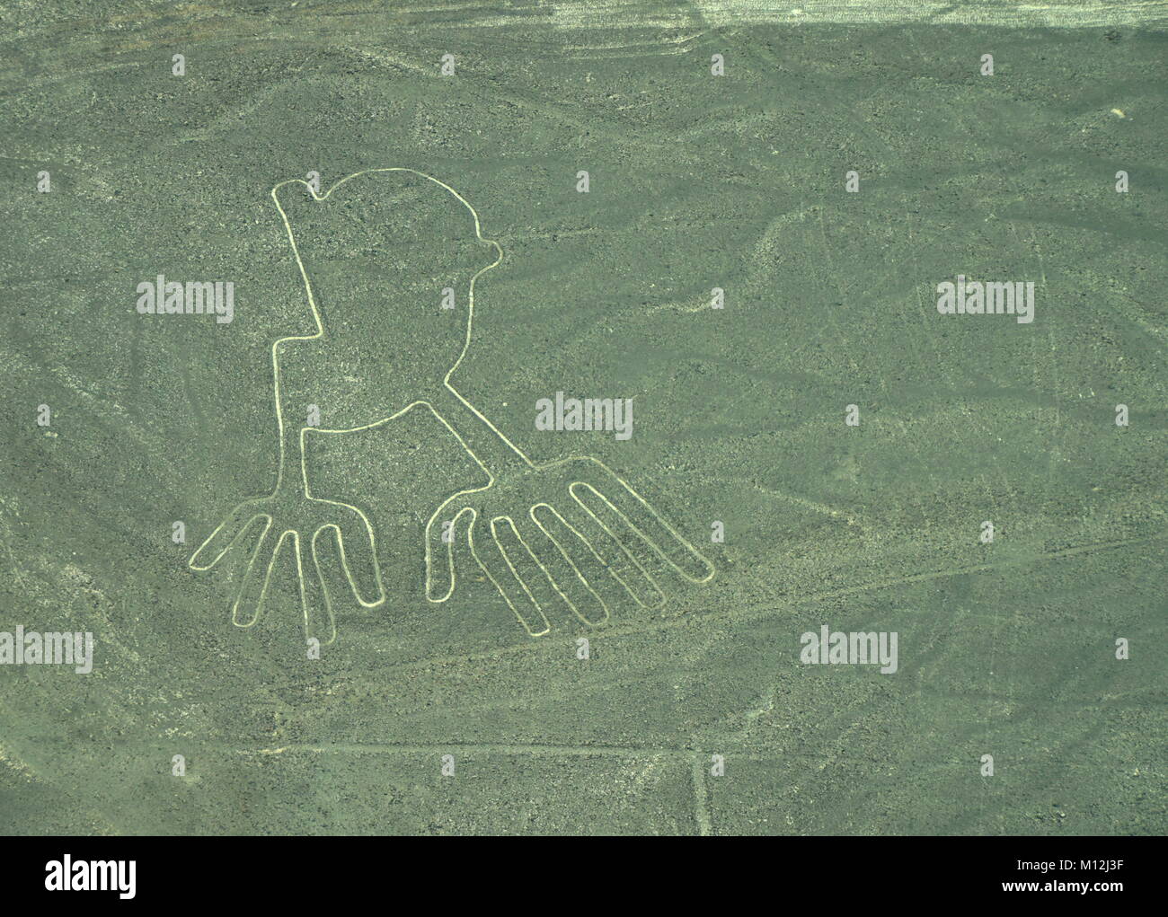 The Nazca Lines in Peru, here you can see the Hands Stock Photo