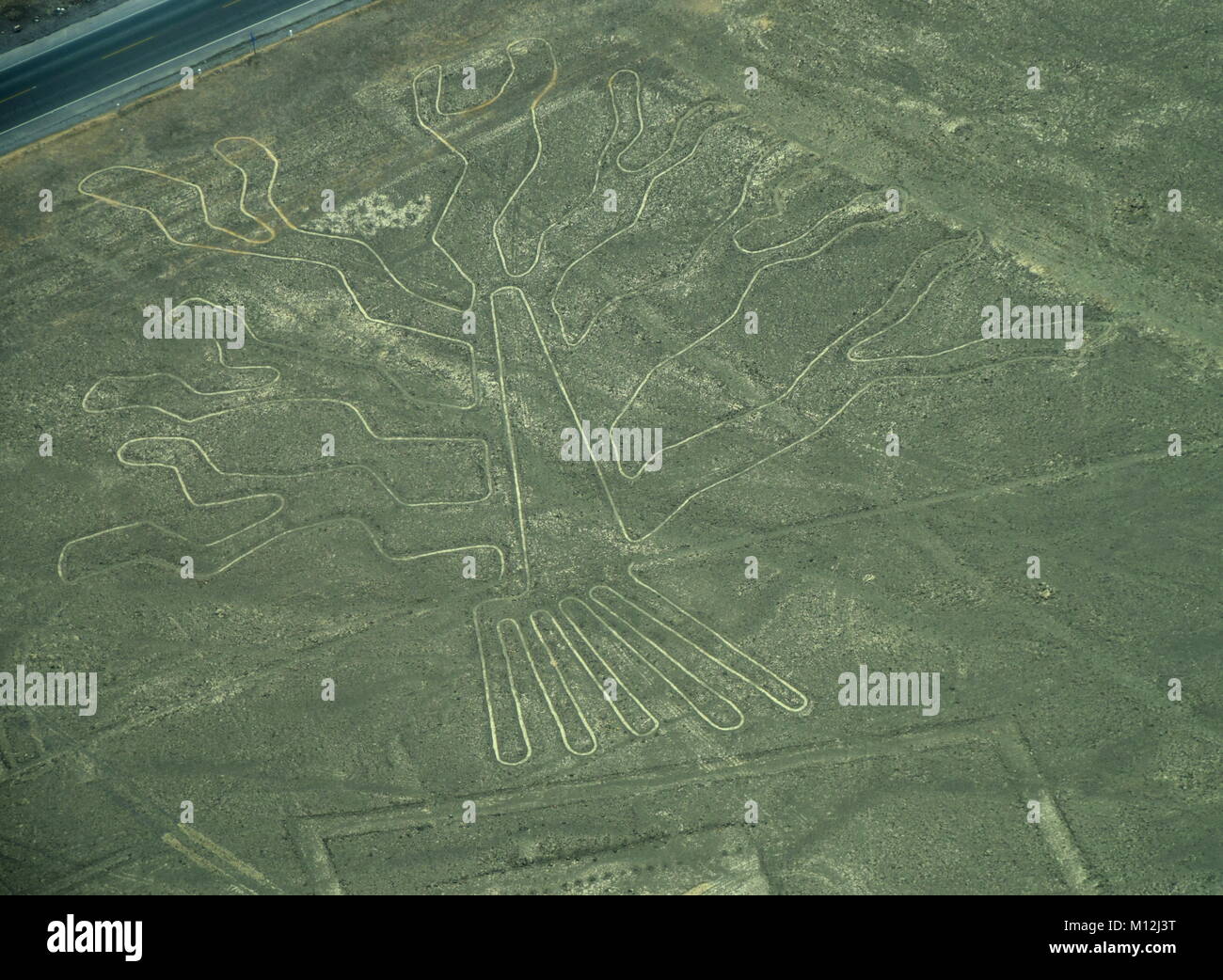 The Nazca Lines in Peru, here you can see the Tree Stock Photo