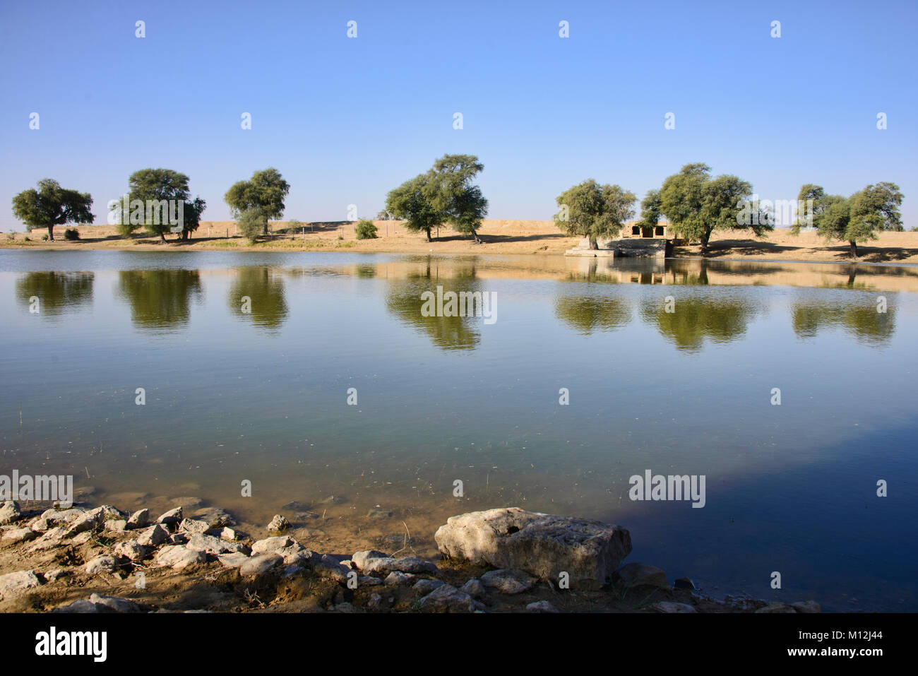 Oasis in the Thar Desert, Rajasthan, India Stock Photo