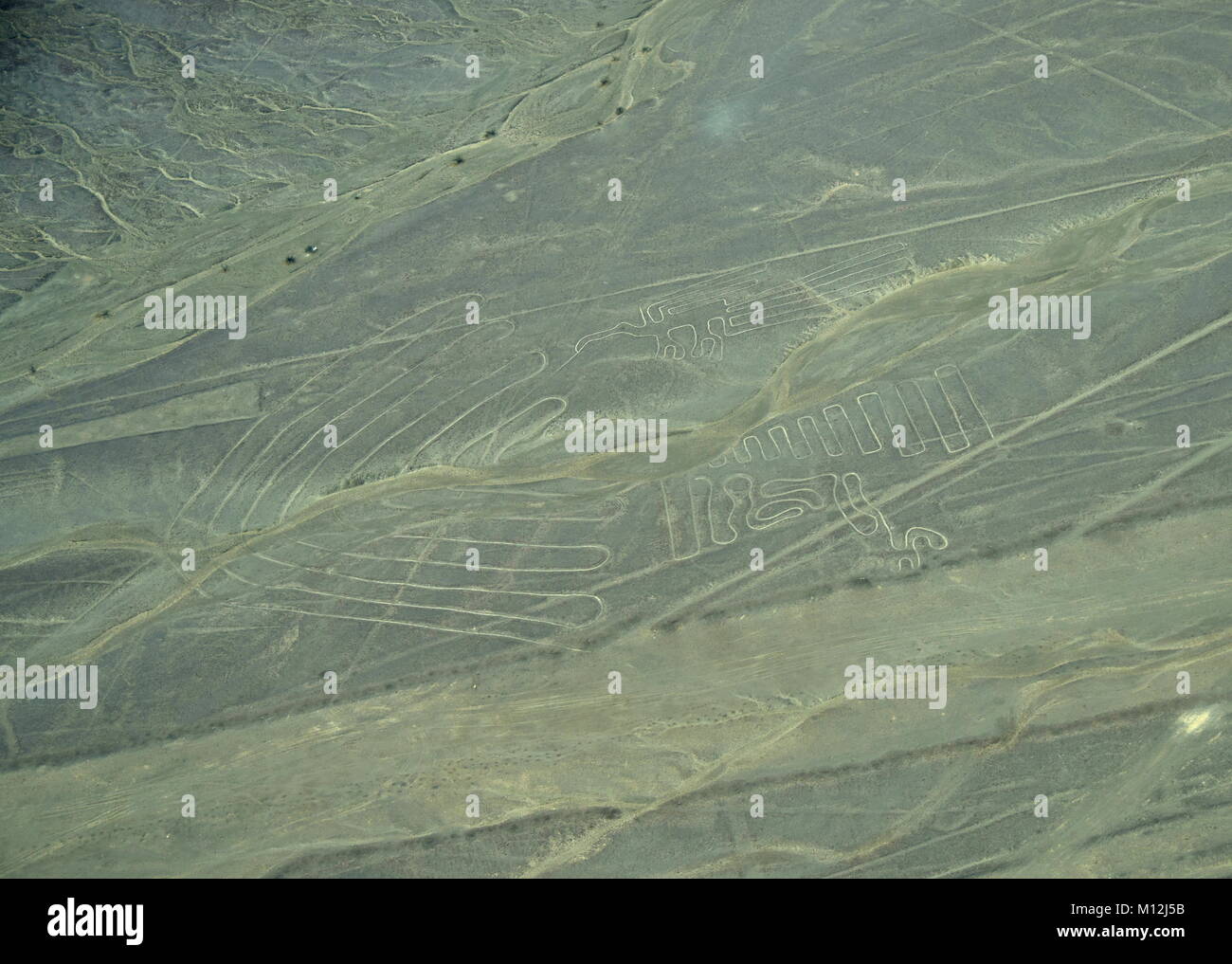 The Nazca Lines in Peru, here you can see Sea Shells Stock Photo