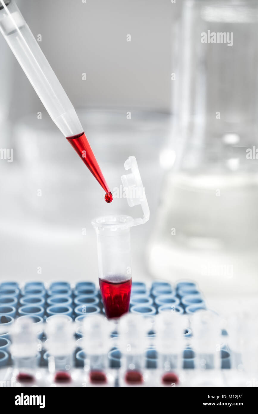 Loading of red liquid sample with automatic pipette, closeup, copy space Stock Photo