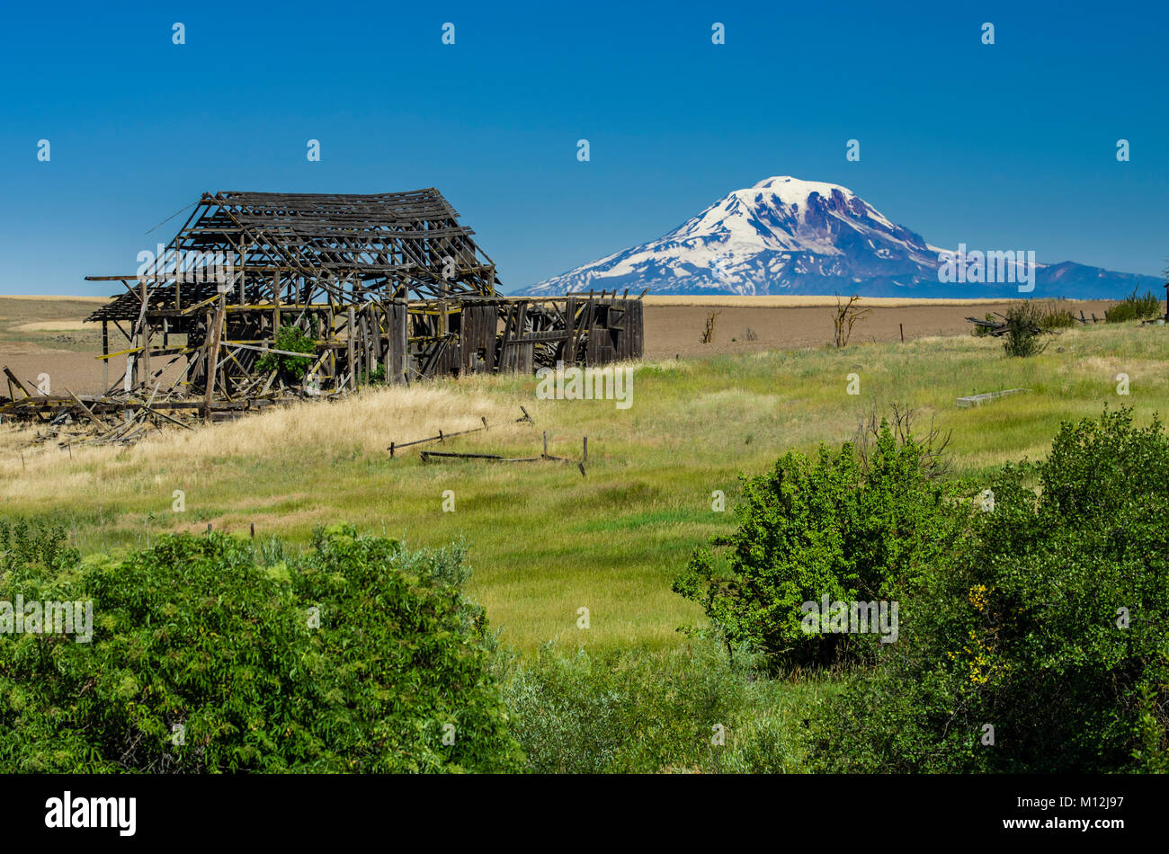 An abandoned and falling barn in rural Washington with Mt Adams in the background.  Goldendale, Washington Stock Photo