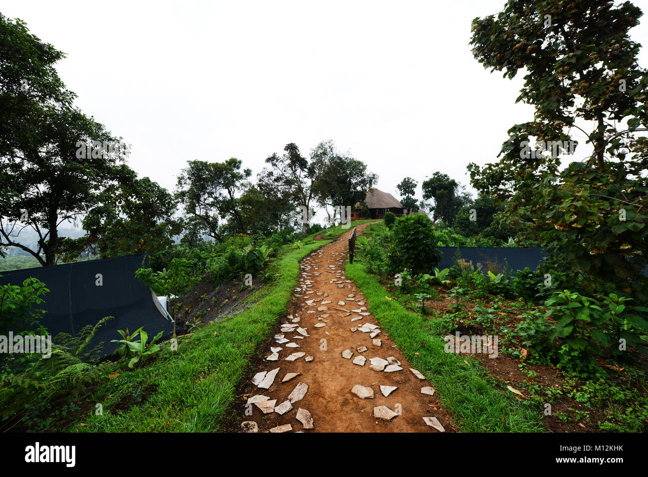 The beautiful Kibumba tented camp / lodge in Virunga national park, D.R.C Stock Photo