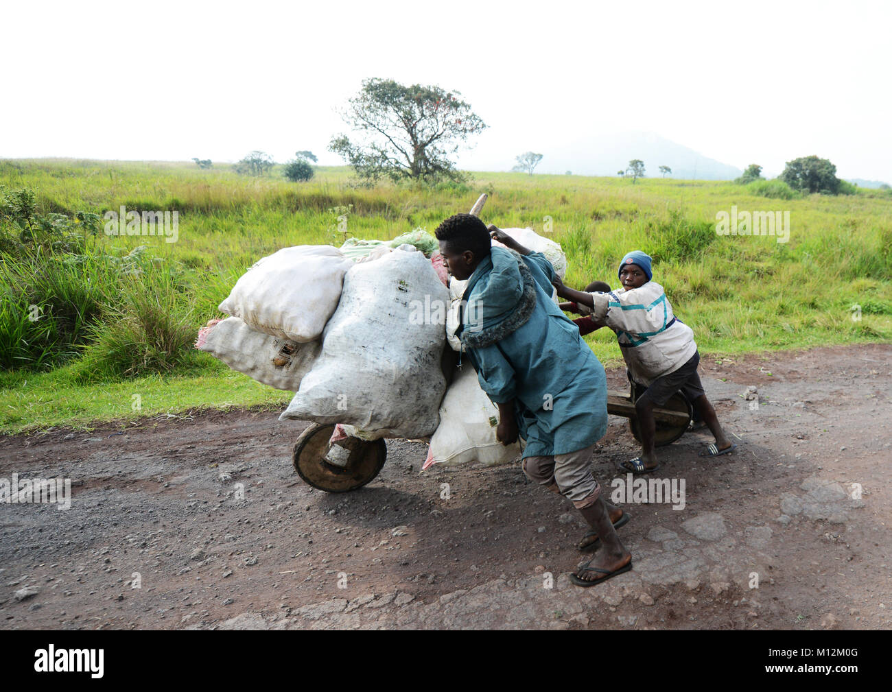 Chukudu is a traditional wooden bike used for transporting goods in Eastern Congo. Stock Photo