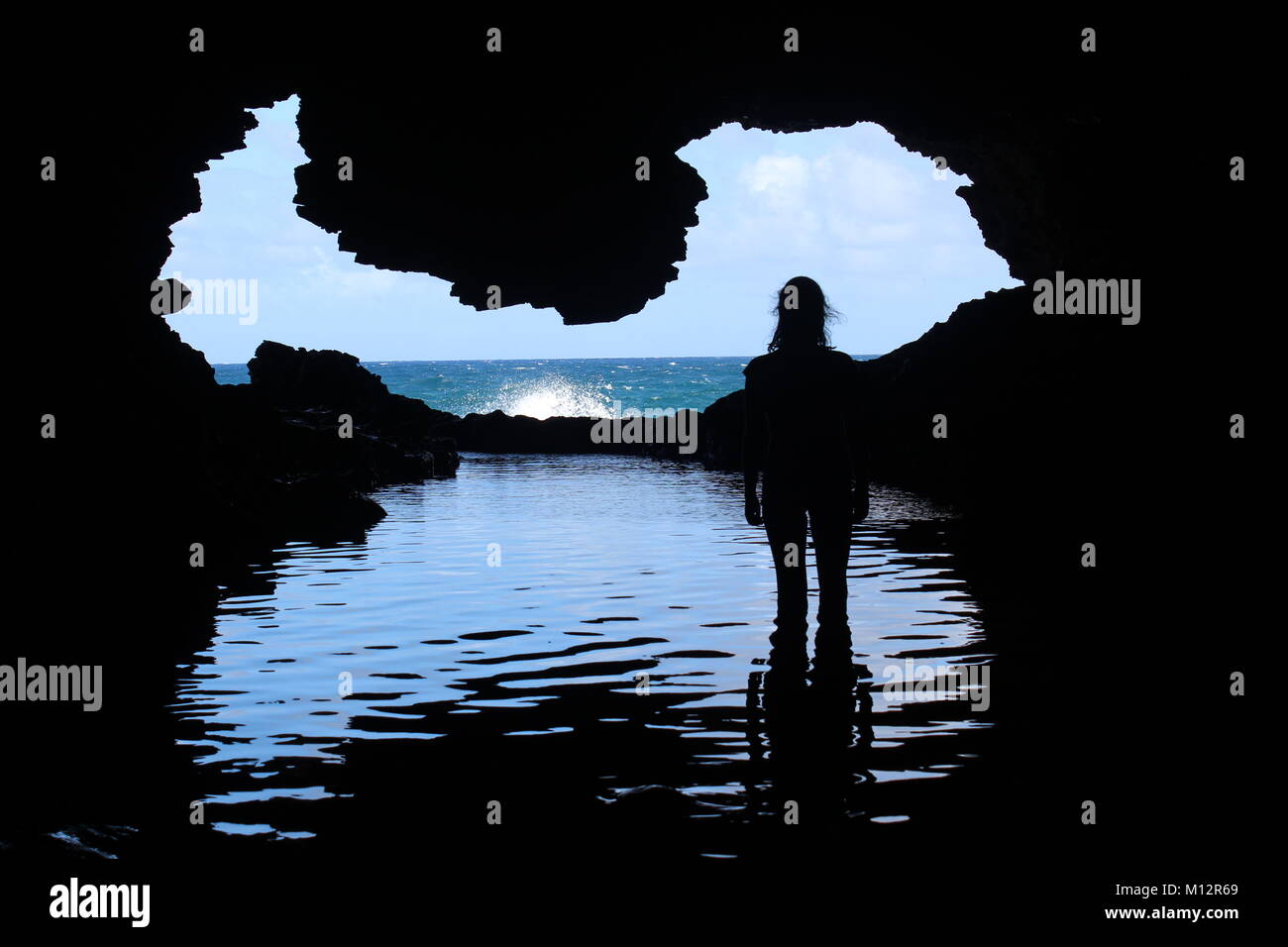 Animal Flower Cave Stock Photo Alamy