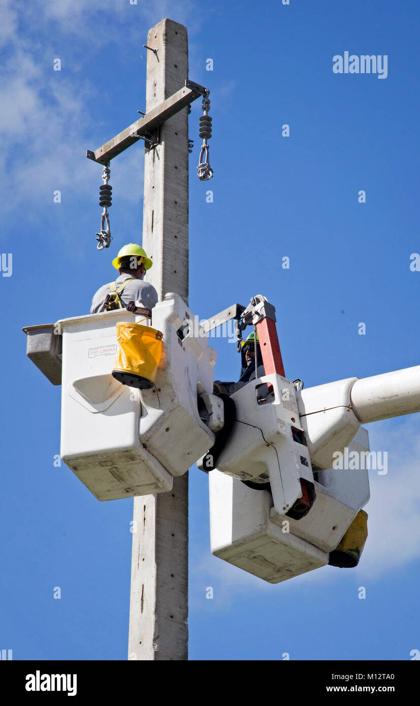 Caguas, Puerto Rico, October 31, 2017 Puerto Rico Electric Power Authority personnel works to