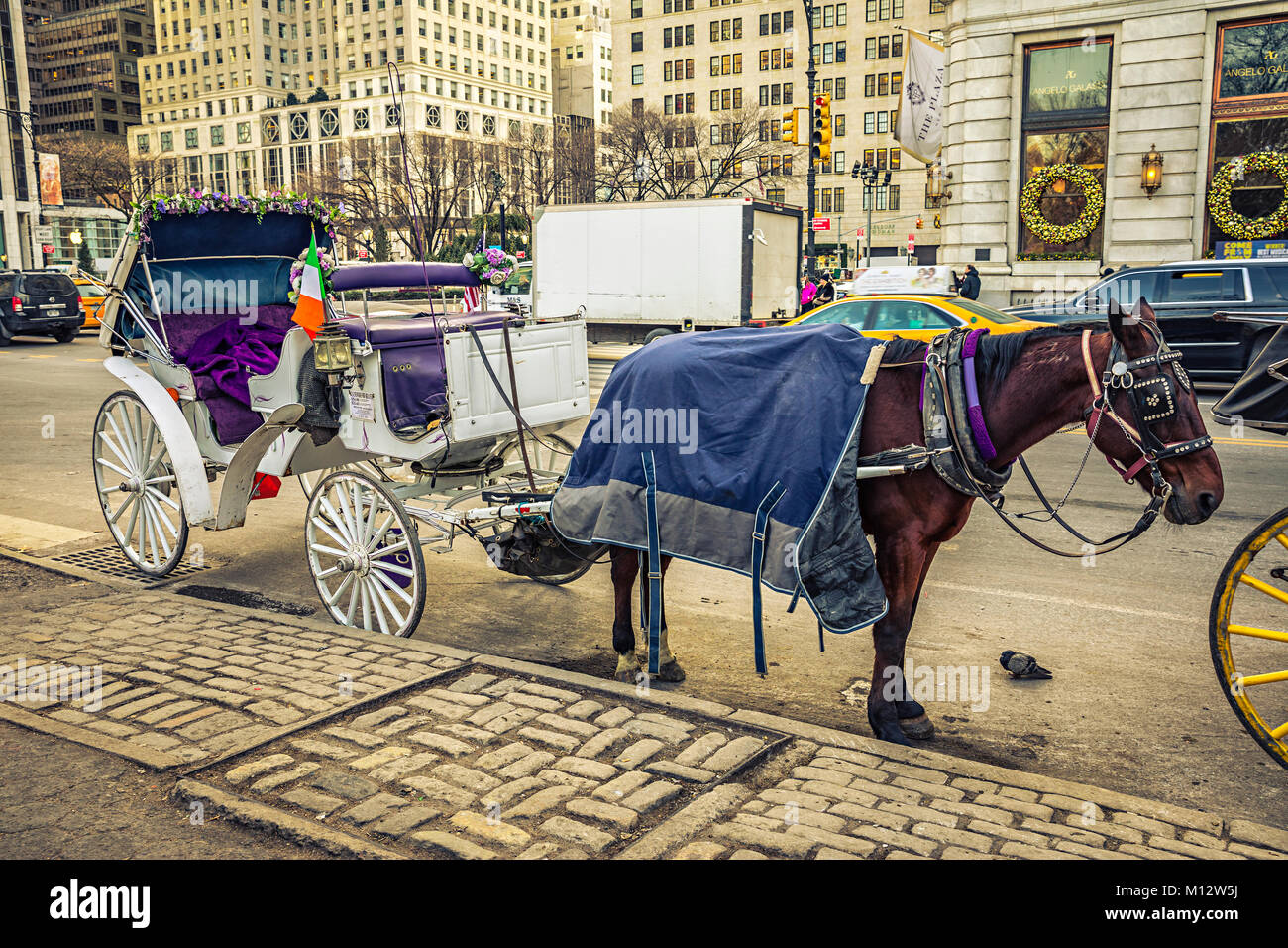 Horse carriage at Central park in New York City Stock Photo