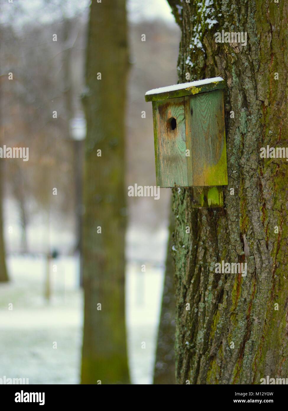 A nesting box in a tree Stock Photo