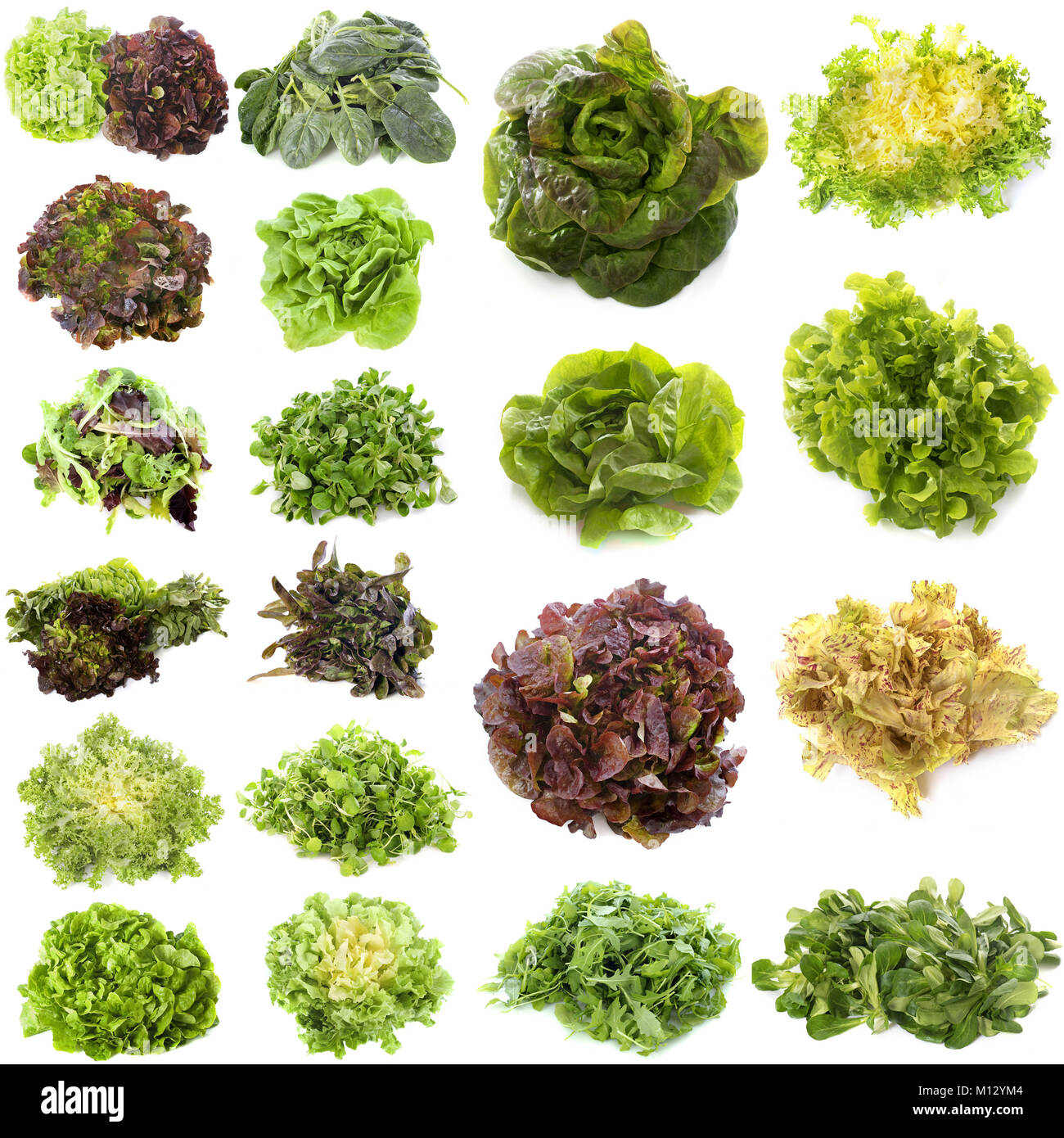 varieties of salads in front of white background Stock Photo