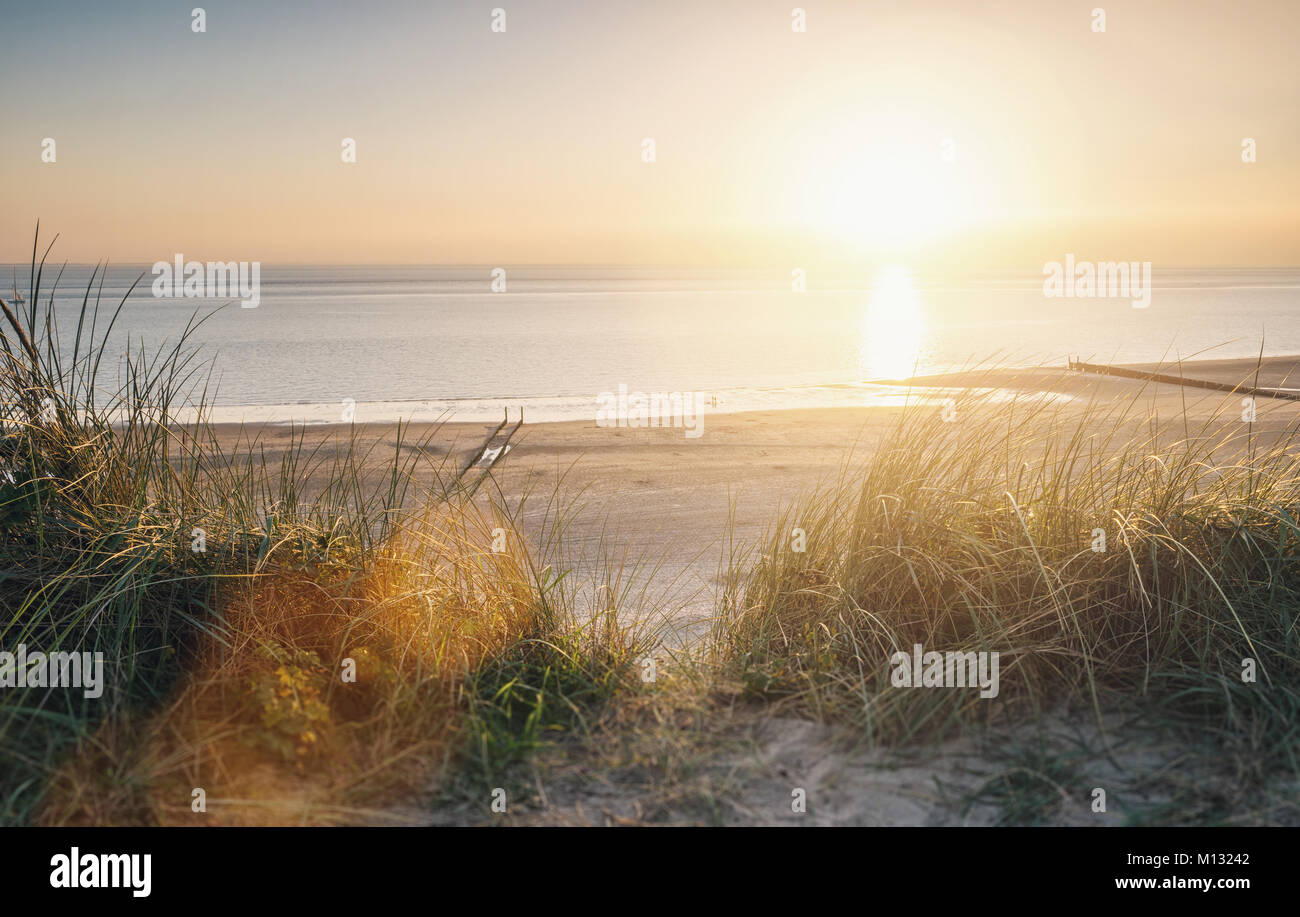 View to the beach at a summer sunset. Stock Photo
