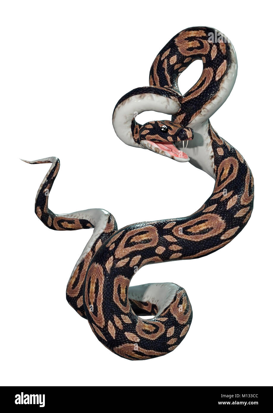 3D rendering of a ball python snake isolated on white background Stock ...