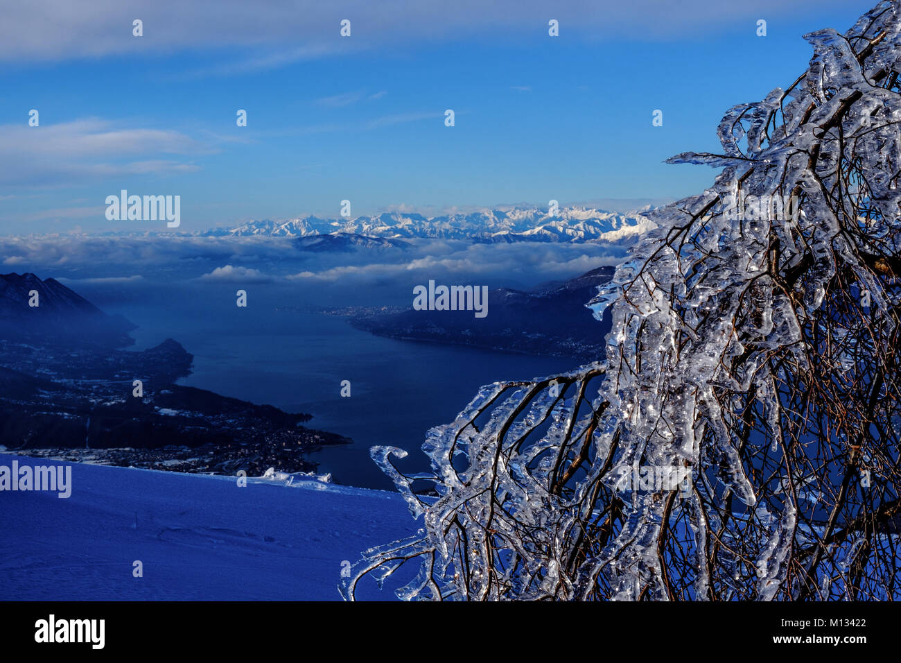 Frozen tree and a view of Lake Maggiore with Mt. Rosa mountain range in winter Stock Photo