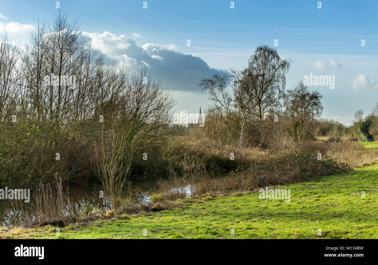 A view of Padgate Meadows in Warrington, Cheshire, UK Stock Photo - Alamy